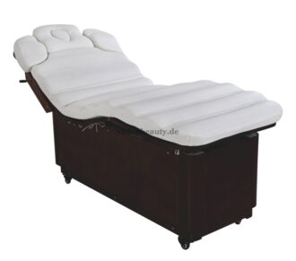 2239 Wellnessliege 3 Motoren